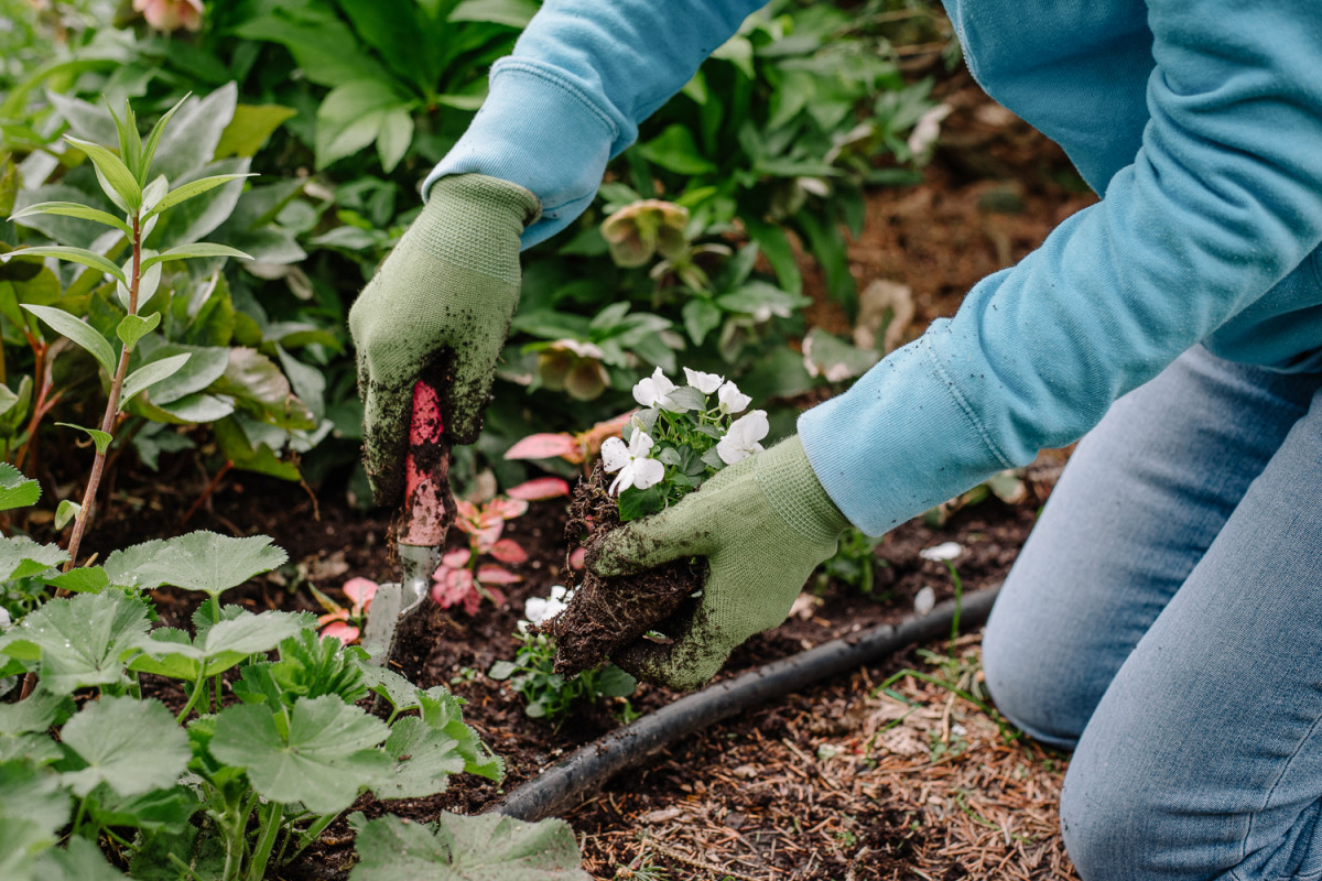 work on my garden